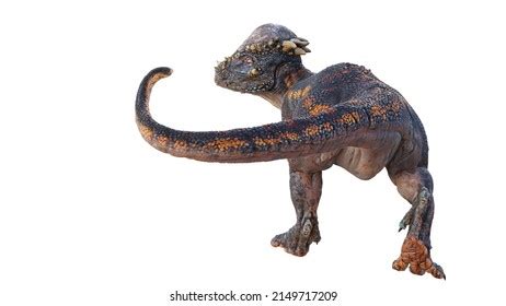 D Pachycephalosaurus Images Stock Photos Vectors Shutterstock