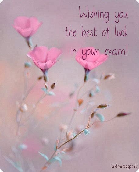 Top 50 Good Luck For Exam Messages And Wishes With Images