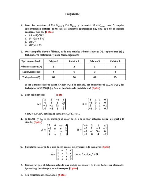 Ta 2404 24109 Algebra Lineal Pdf Espacio Vectorial Determinante