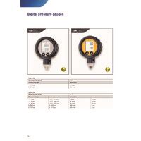 Sika Type D Ex Digital Pressure Gauge W Selectable Range