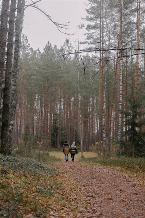 People Hiking in Woods in Autumn · Free Stock Photo