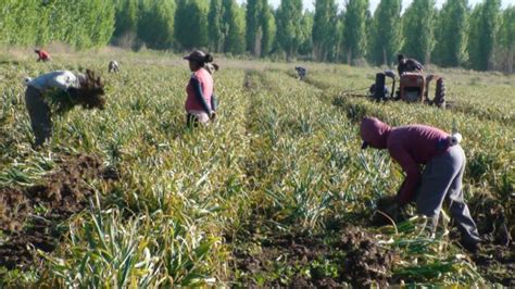 Nueva Medida Para Los Productores Afectados Por Las Contingencias