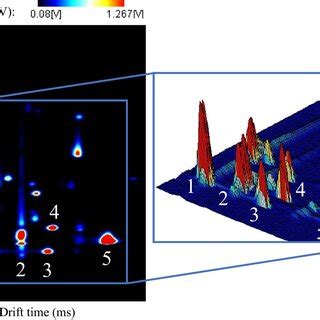 Direct comparison between infrared spectroscopy and ion mobility ...