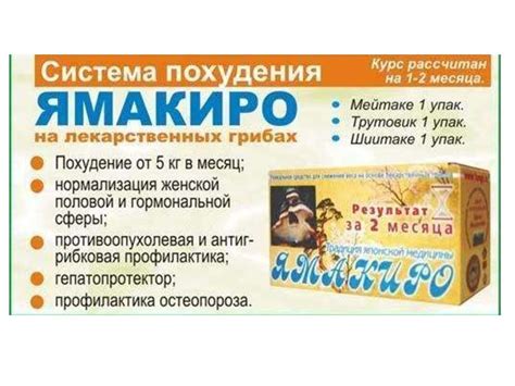 «Ямакиро» - система похудения - online presentation