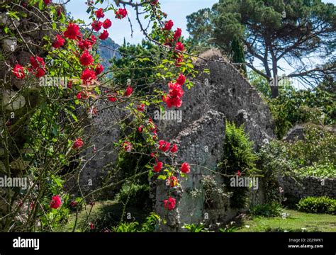 The Gardens Of Ninfa The Abandoned Town Cisterna Di Latina Lazio