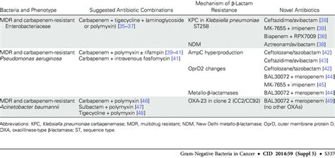 Potential Combination Antibiotic Regimens And Examples Of Novel