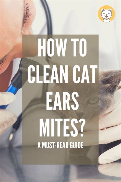 How To Clean Cat Ear Mites A Must Read Guide Cat Ear Mites Clean