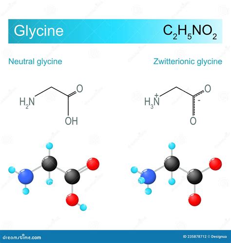 Glycine Molecular Structure D Model Molecule Amino Acid Structural