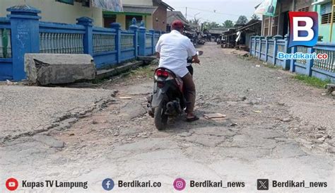 Berdikari Jalan Penghubung Dua Desa Di Lamsel Rusak Bertahun Tahun