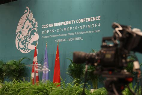 Milestone Conservation Agreement Reached At Un Biodiversity Conference