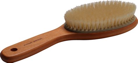 Hairbrush Png