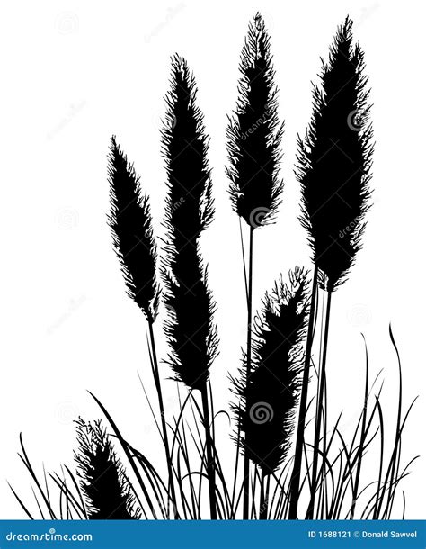 Pampas Grass Silhouette Cartoon Vector 1688121