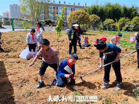 劳动助成长，独山这所小学的孩子们分到了“责任田”实践独山县教育