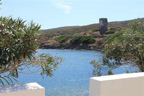 Sardinien Meer Insel Asinara Kostenloses Foto Auf Pixabay Pixabay