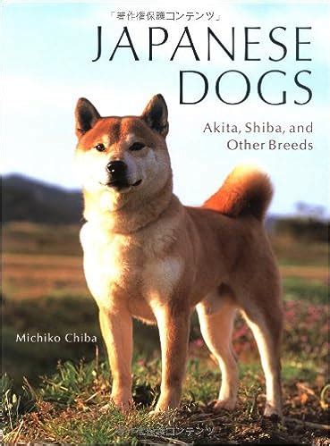 Japanese Akita Puppy Hachi Dog Breed - myrissakrenzler