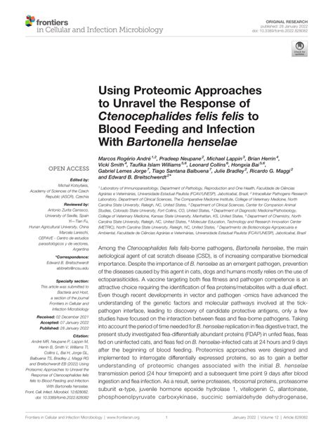 PDF Using Proteomic Approaches To Unravel The Response Of