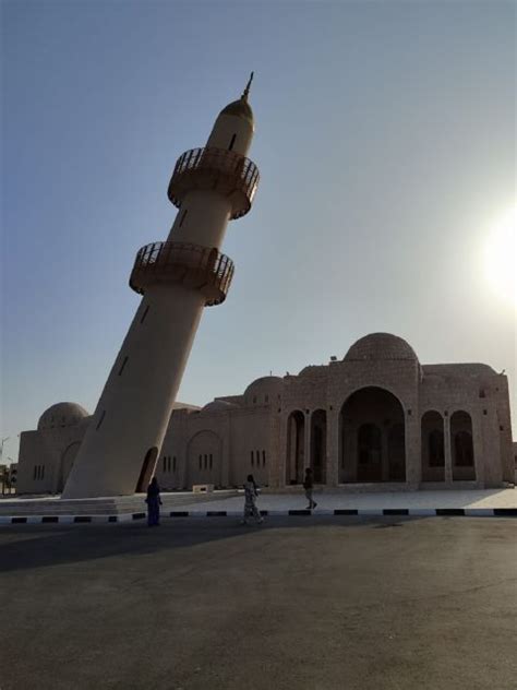 Pista De Carreras De Camellos De Doha Granja Oryx Y Museo Sheikh