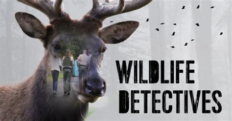 A Guide To Wildlife Detectives Jefferson Public Radio