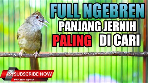 PANCINGAN MASTERAN KAPAS TEMBAK GACOR NEMBAK JERNIH PANJANG KATEM