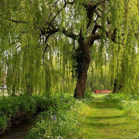 photograph   pond  steve waite  photohound