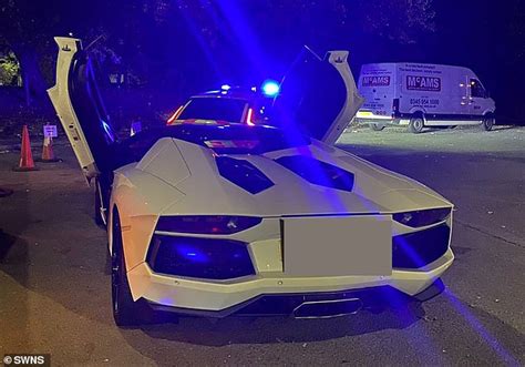 Owner Of Lamborghini Aventador Walks Home In Tears When