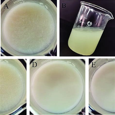 Differential Scanning Calorimetry Melting Curves And Crystallization