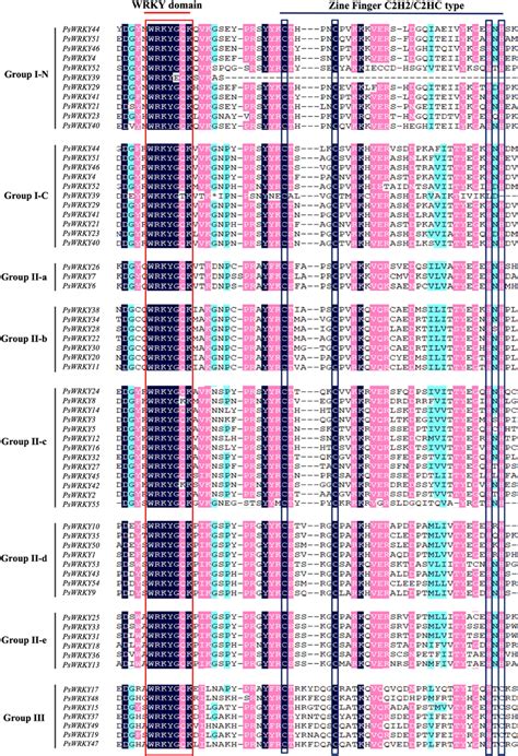 Multiple Sequence Alignments Of Conserved Domains In Pswrky