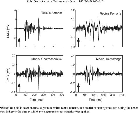 Figure From The Intralimb Coordination Of The Flexor Reflex Response