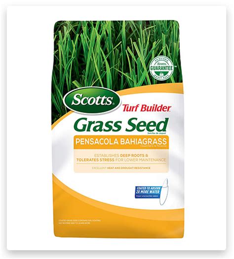 Best Drought Tolerant Grass 2023 | 12 Drought Tolerant Grass Seed Mix