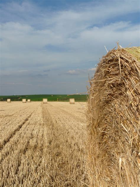 images nature horizon sky hay bale field wheat prairie
