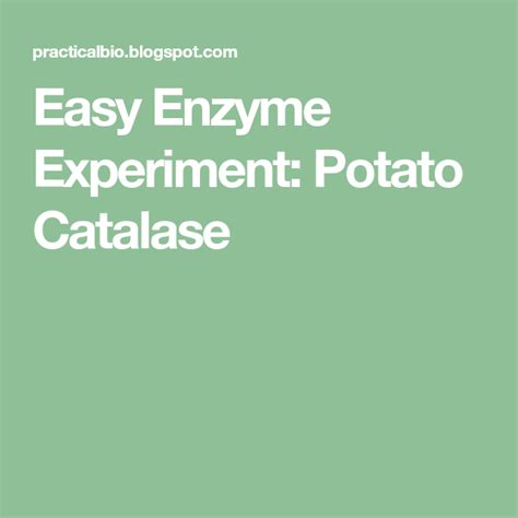 Easy Enzyme Experiment Potato Catalase Enzymes Biology Experiments