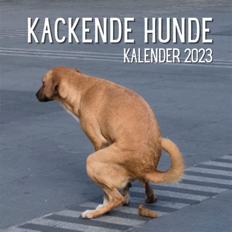 Kackende Hunde Kalender Das Lustige Geschenk F R M Nner Frauen