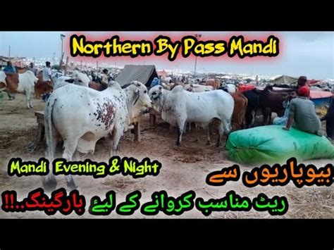 Northern Bypass Mandi Sibbi Block Update Beopariyon Sy Rate