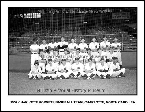 Charlotte Hornets Baseball Team Charlotte Nc Millican