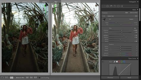 How To See Before And After In Lightroom Lightroom Mobile Brendan