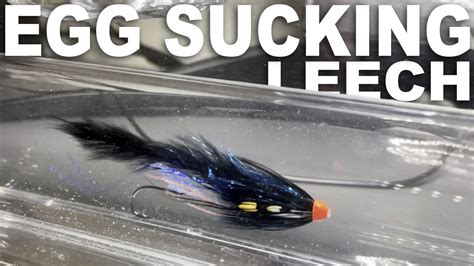 How To Tie An Egg Sucking Leech Steelhead Fly YouTube