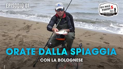 Pesca BOLOGNESE Trucchi E SEGRETI Per Pescare ORATE Dalla SPIAGGIA