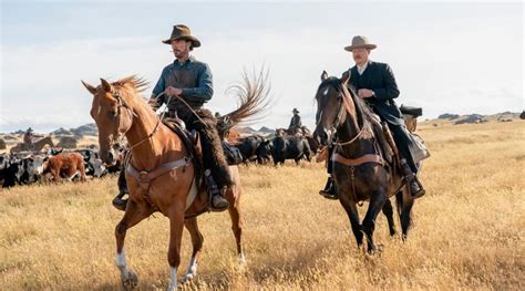 The Power of the Dog movie review: Benedict Cumberbatch’s western drama ...