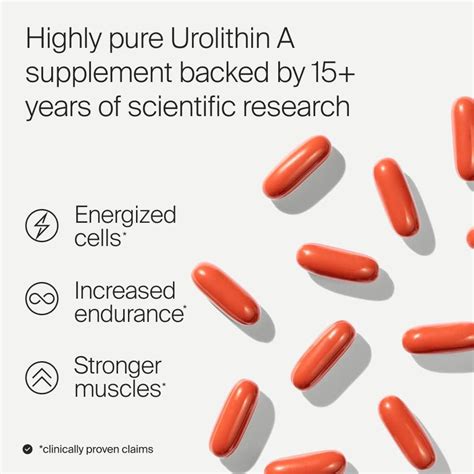 Mitopure Urolithin A 500mg Softgel Capsules - Clinically Tested Energy ...