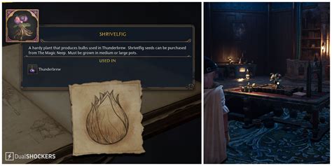 Hogwarts Legacy Shrivelfig Fruit Location Guide