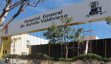 Salió Del Hospital Niña Que Fue Mordida Por Murciélago En Oaxaca Infobae