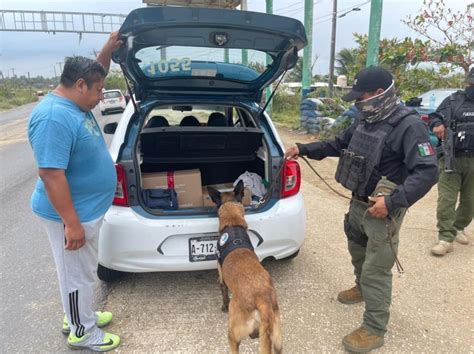 Aplica SSP Y Fuerzas Federales Operativo Cero Tolerancia En