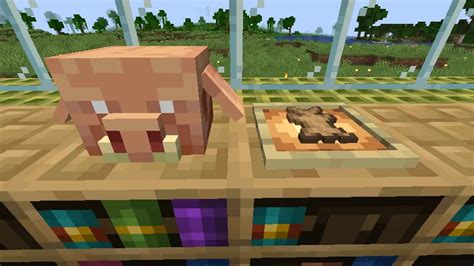 Minecraft Trails Tales Update Guide