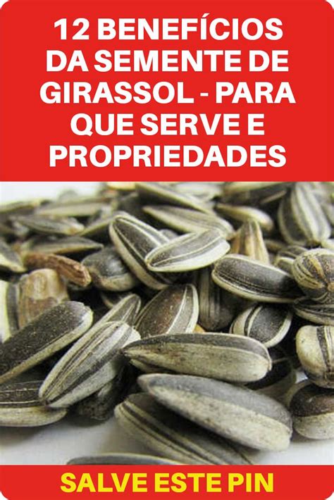 Benef Cios Da Semente De Girassol Para Que Serve E Propriedades