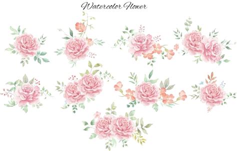 Arreglo Floral Rom Ntico Rosa Acuarela Vector Premium