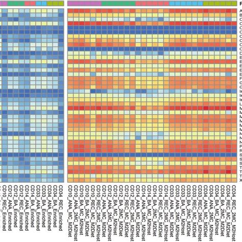 Heatmap Of Kegg Brite Hierarchy Levels Represented As Log2 Transformed