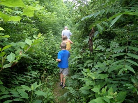 Hiking the Kentucky River Palisades Trail - Hobbies on a Budget