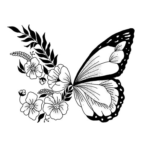 Butterfly Aesthetic Drawing