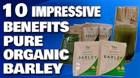 10 Impressive Benefits Of Amazing Pure Organic Barley Powdered Drink