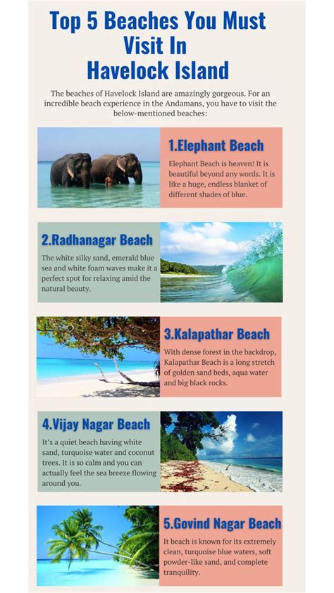 the top 5 beaches you must visit in havolock island infographical